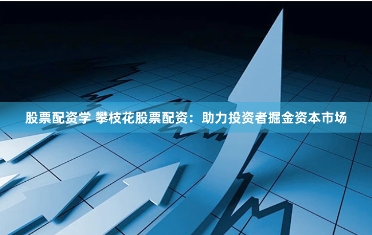 股票配资学 攀枝花股票配资：助力投资者掘金资本市场